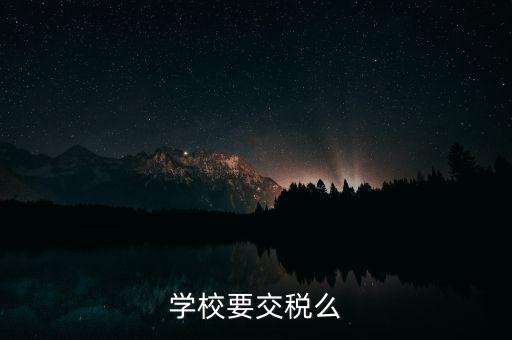 民辦學(xué)校交什么稅，你好我想問問民辦學(xué)?？梢砸髮W(xué)生補(bǔ)課嗎把補(bǔ)課的錢作為必交費(fèi)