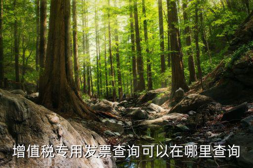 什么地方可以查發(fā)票內(nèi)容，怎樣通過發(fā)票號(hào)碼查尋發(fā)票內(nèi)容