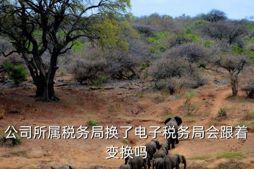 電子稅務(wù)局是什么時(shí)候變更的，公司所屬稅務(wù)局換了電子稅務(wù)局會跟著變換嗎