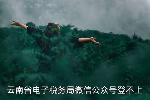 為什么云南省國家稅務局進不去，云南省電子稅務局微信公眾號登不上