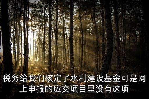 為什么水利建設(shè)無法申報，地稅電子稅務(wù)局的水利基金下滑找不到申報怎么辦