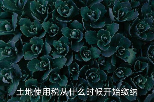 土地使用稅什么時候開始交，什么時候開始繳納房產(chǎn)稅和土地使用稅是否都要繳納