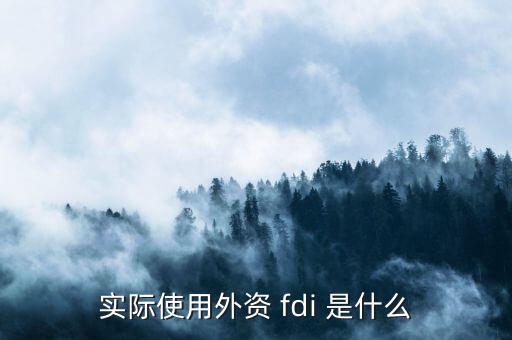 fdi是什么認(rèn)證，F(xiàn)DI指什么