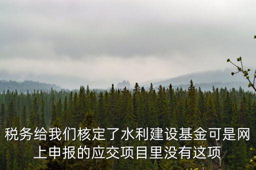 稅務(wù)給我們核定了水利建設(shè)基金可是網(wǎng)上申報的應(yīng)交項(xiàng)目里沒有這項(xiàng)