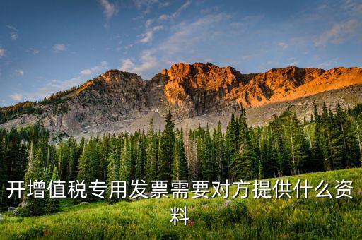 開(kāi)增值稅專用票需要對(duì)方提供什么資料，銷售方開(kāi)具增值稅專用發(fā)票需要對(duì)方提供什么資料