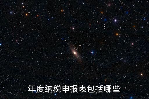 什么是年度納稅申報(bào)表，年度納稅申報(bào)表包括哪些