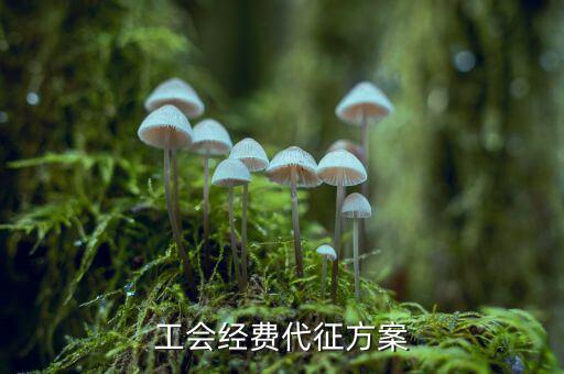 工會(huì)經(jīng)費(fèi)為什么委托稅務(wù)機(jī)關(guān)代征，工會(huì)經(jīng)費(fèi)交地稅局是怎么回事