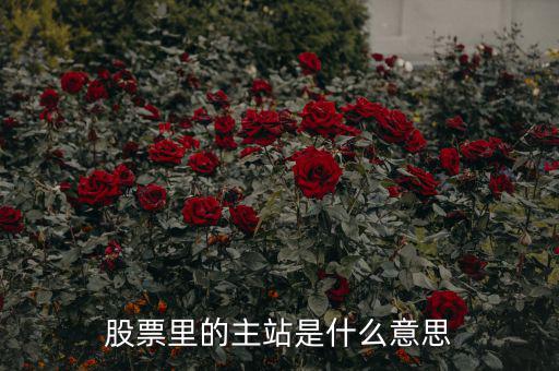 預控主站票是什么，股票里的主站是什么意思