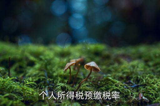 什么是個人所得稅預征率，個人所得稅預扣預繳是什么意思