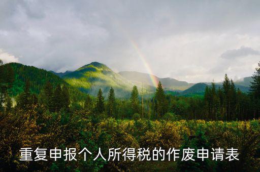 申報表作廢申請單 要帶什么，國稅報表作廢帶什么
