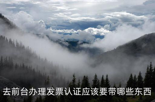 去前臺辦理發(fā)票認(rèn)證應(yīng)該要帶哪些東西