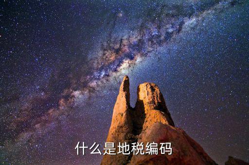 地稅編碼是什么意思，什么是地稅編碼
