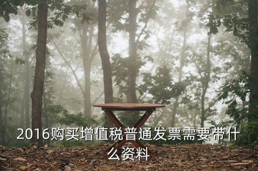 2016領(lǐng)發(fā)票需要帶什么，2016購(gòu)買增值稅普通發(fā)票需要帶什么資料