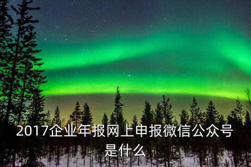 企業(yè)申報(bào)客戶端是什么意思，2017企業(yè)年報(bào)網(wǎng)上申報(bào)微信公眾號(hào)是什么
