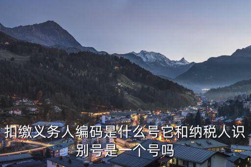 易稅門戶扣繳義務(wù)人編碼是什么，易稅門戶中扣繳義務(wù)人編碼指什么