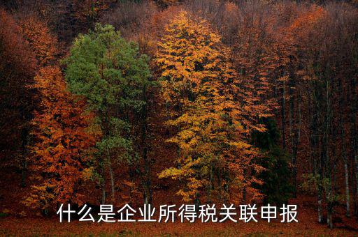 稅務(wù)關(guān)聯(lián)表是什么意思，所得稅中關(guān)聯(lián)關(guān)系是什么意思