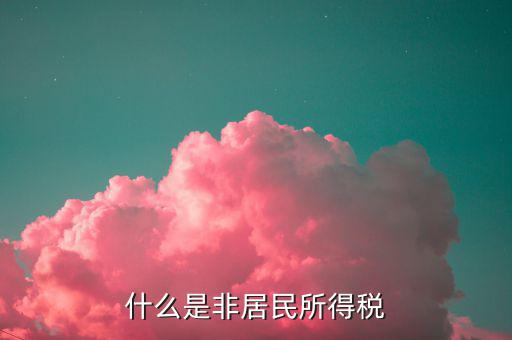 什么是非居民所得稅申報(bào)，什么是非居民所得稅