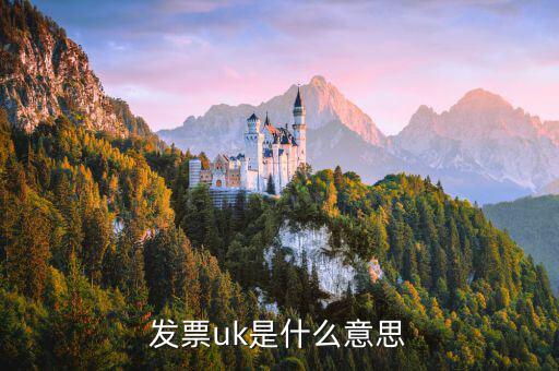 發(fā)票中u是什么意思，在發(fā)票中UM EA 和UP是什么意思