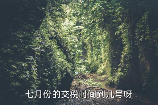 福建地稅7月報稅到什么時候，請問7月份國稅地稅的征期截止到哪天