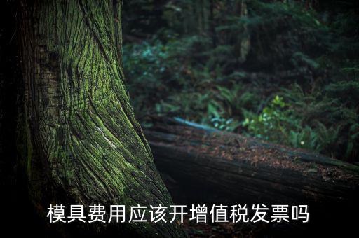 模具設(shè)計開發(fā)費開什么發(fā)票，模具開發(fā)及制造費一般開什么發(fā)票明細