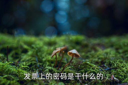 湖南汽車發(fā)票密碼是什么意思，發(fā)票上的密碼是做什么用的啊