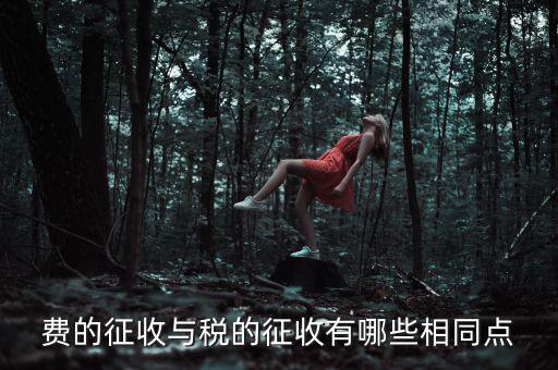 稅與費(fèi)有什么區(qū)別 稅收具有，費(fèi)的征收與稅的征收有哪些相同點(diǎn)