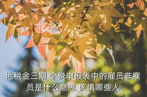 雇員納稅人是什么意思，地稅金三期 個(gè)稅申報(bào)表中的雇員非雇員是什么意思 該填哪些人