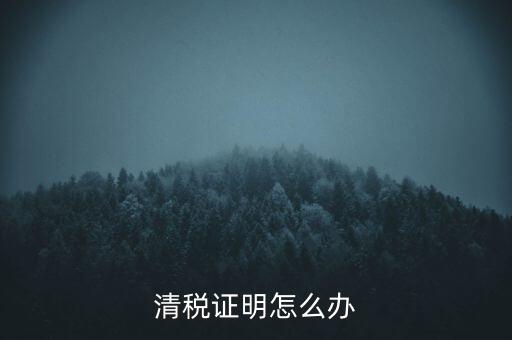 稅務(wù)無紙化辦公要什么材料，清稅證明怎么辦