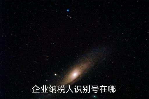 什么是企業(yè)識別號，購票企業(yè)識別號 是不是 我們企業(yè)的稅號