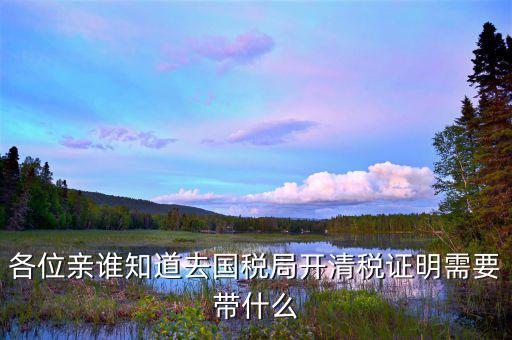 各位親誰(shuí)知道去國(guó)稅局開清稅證明需要帶什么