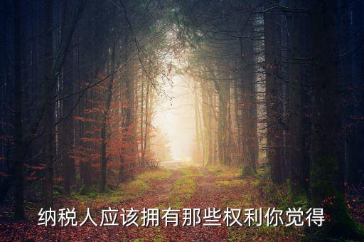 納稅人的權(quán)益有什么，納稅人應(yīng)該擁有那些權(quán)利你覺得