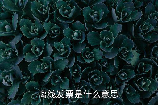 離線開票什么意思，離線發(fā)票是什么意思