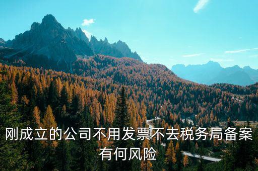 稅收備案制有什么風(fēng)險，稅收政策變化導(dǎo)致中小企業(yè)的風(fēng)險有哪些