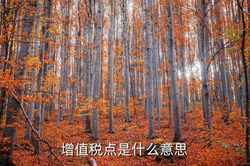增值稅點(diǎn)是什么意思