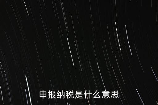 通用申報稅是什么，非稅收入通用申報表是什么稅