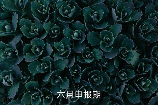 6月申報期是什么意思，個人所得稅申報期是每月15號嗎