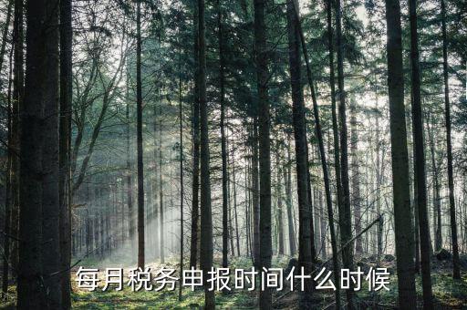 什么時(shí)候教育稅附加申報(bào)，每月稅務(wù)申報(bào)時(shí)間什么時(shí)候