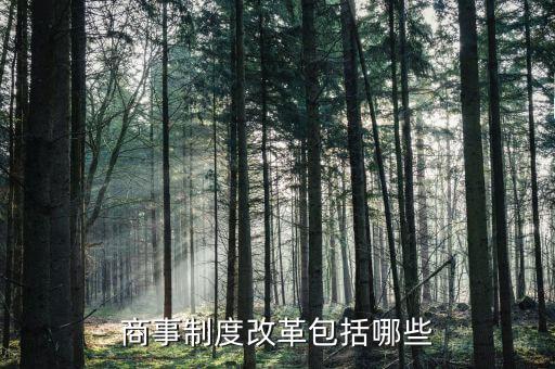 國稅商事制度改革是什么，商事制度改革