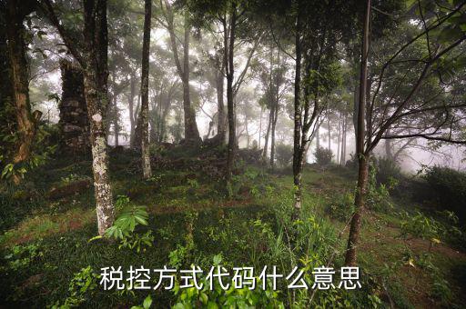 什么叫稅控碼，稅控方式代碼什么意思
