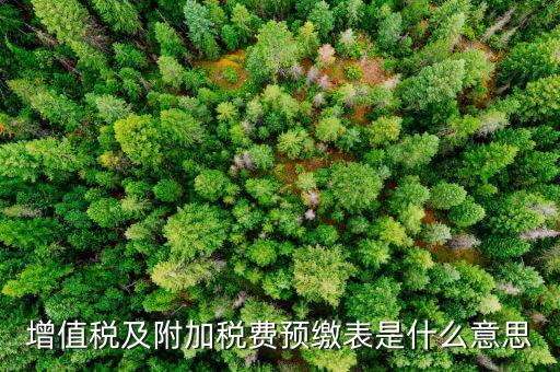 增值稅預(yù)繳稅款表是什么，增值稅及附加稅費(fèi)預(yù)繳表是什么意思