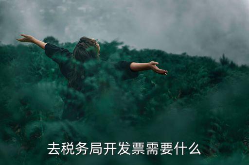 常州國稅認(rèn)證發(fā)票需要帶什么手續(xù)，去國稅認(rèn)證發(fā)票需要帶什么資料