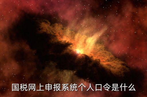 國(guó)稅證書口令是什么意思，網(wǎng)上申報(bào)國(guó)稅系統(tǒng)登陸的口令是什么