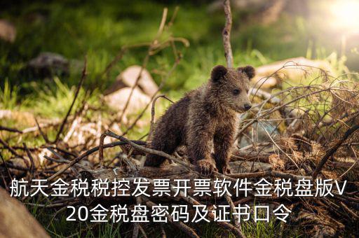 新稅盤證書口令是什么，金稅盤初始密碼和口令是多少