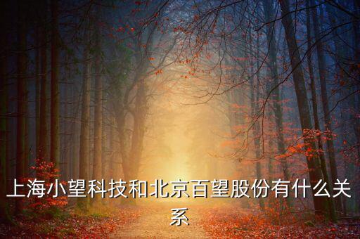 百望跟百旺有什么關(guān)系，上海小望科技和北京百望股份有什么關(guān)系
