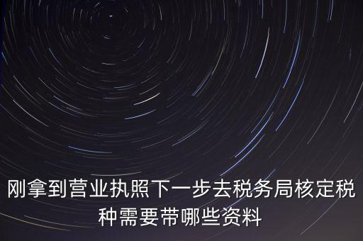 湖北國(guó)稅增加稅種需要帶什么資料，企業(yè)報(bào)稅種需要帶什么資料