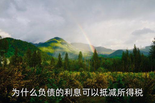 企業(yè)負債時稅率有什么優(yōu)惠，企業(yè)所得稅優(yōu)惠政策有哪些