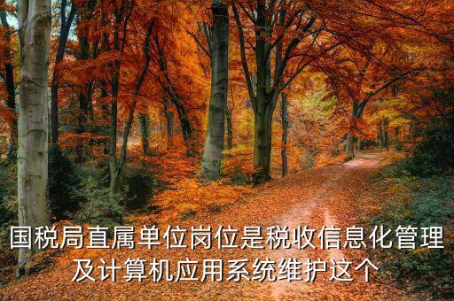 稅收信息化崗位做什么，信息化在稅務管理中有什么作用