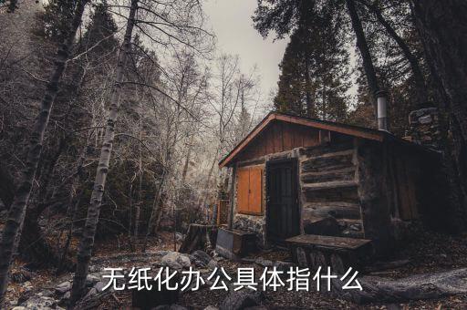 國稅無紙化辦公是什么意思，無紙化辦公具體指什么