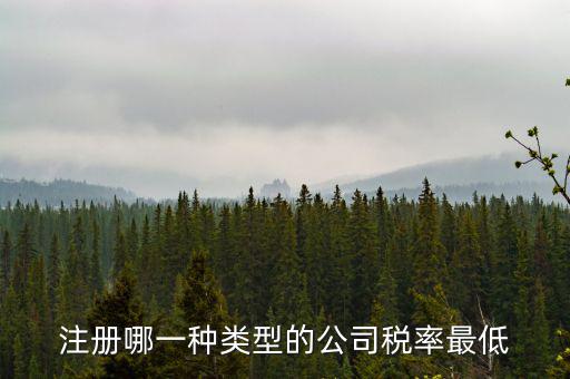 蘇州開什么樣的公司稅率最低，注冊(cè)什么類型的公司交稅最少