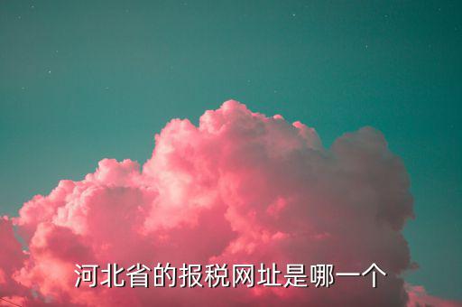 河北省的報(bào)稅網(wǎng)址是哪一個
